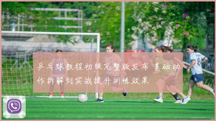 乒乓球教程初级完整版发布 基础动作拆解到实战提升训练效果