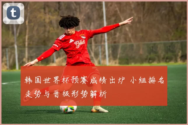 韩国世界杯预赛成绩出炉 小组排名走势与晋级形势解析