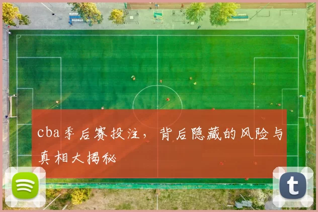 cba季后赛投注，背后隐藏的风险与真相大揭秘