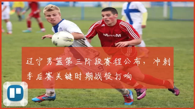 辽宁男篮第三阶段赛程公布,冲刺季后赛关键时期战役打响